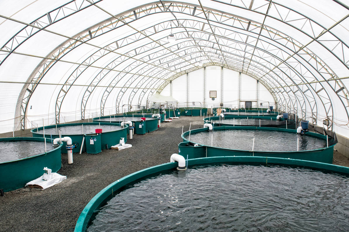 Image result for fish farm