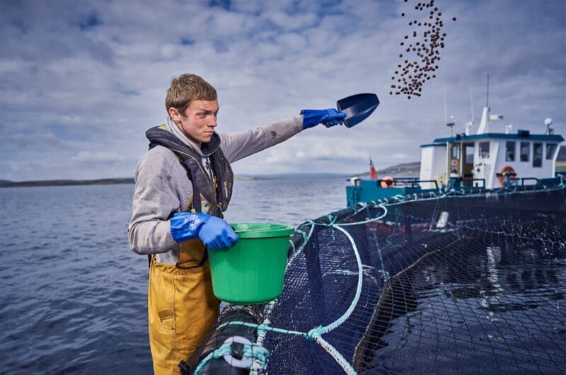 The Sustainable Aquaculture Innovation Centre makes new call for