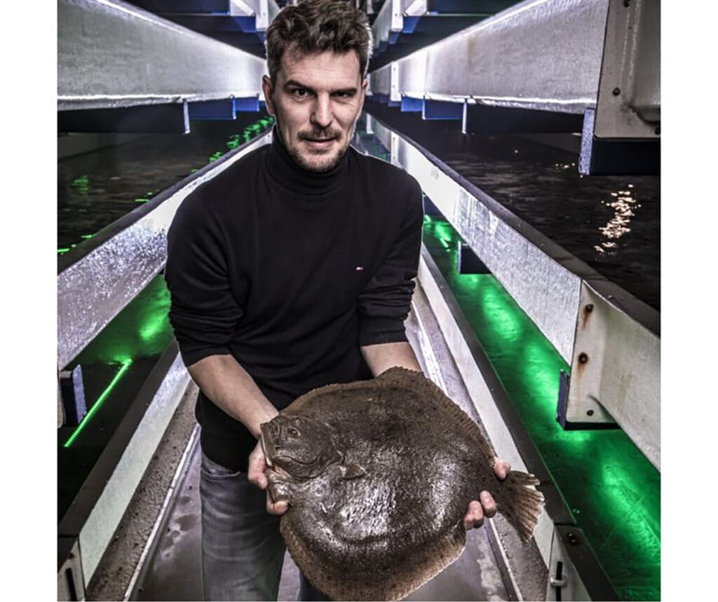 Dutch Company Seafarm The First In The World To Achieve ASC dutch-company-seafarm-the-first-in-the-world-to-achieve-asc