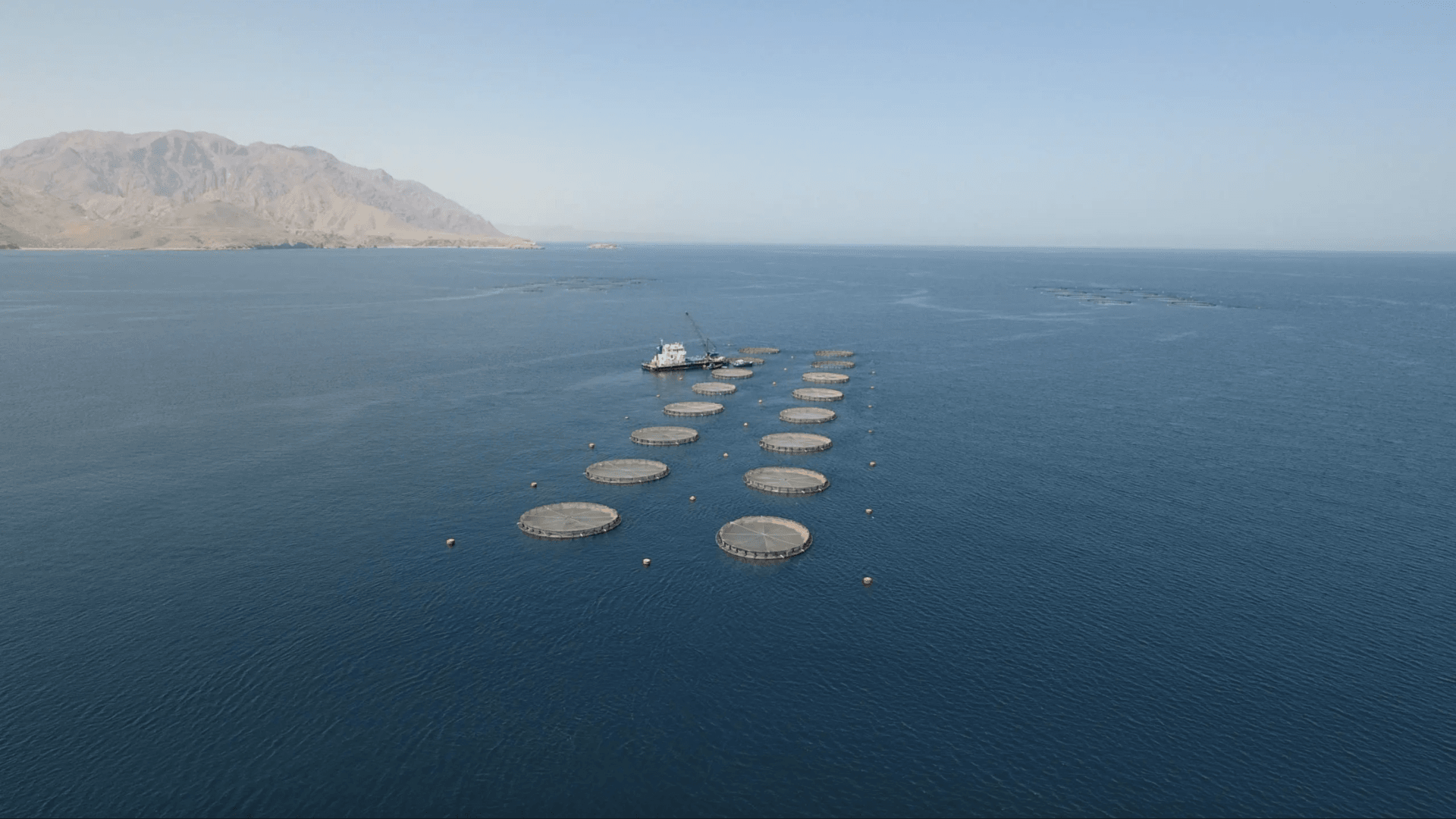 Blue Waters Sea Bream Farm