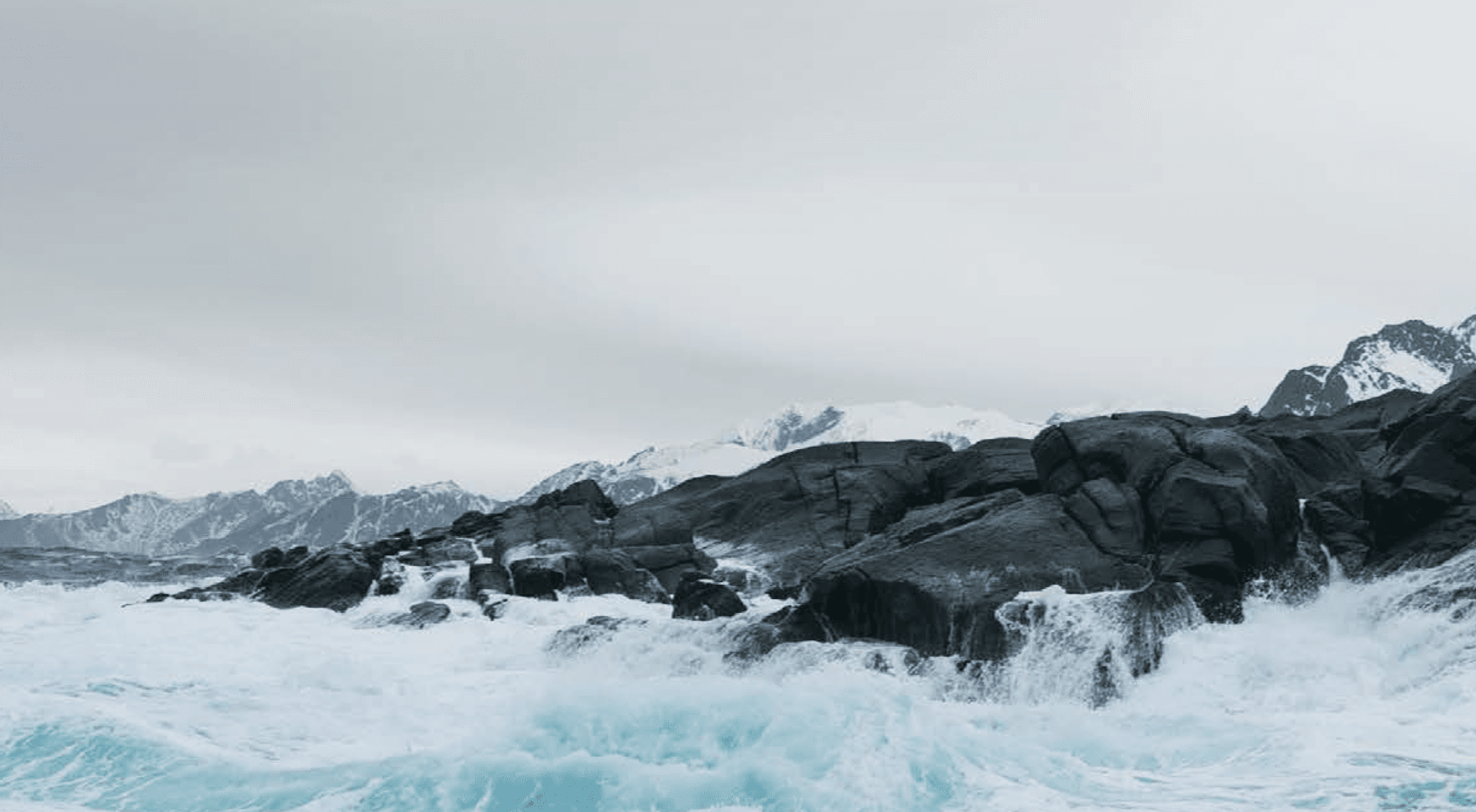 Norway's Andfjord Salmon