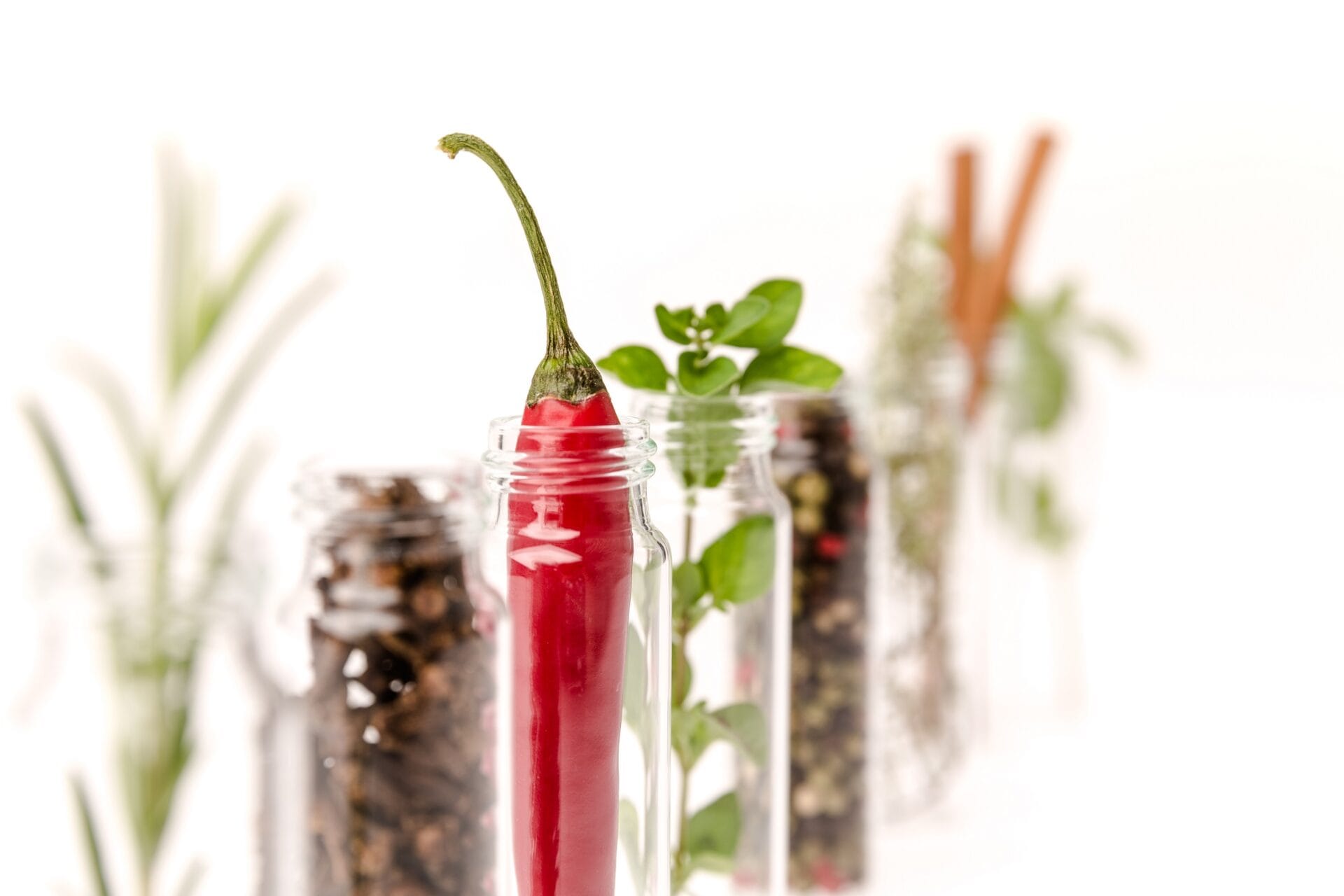 phytogenic feed additives