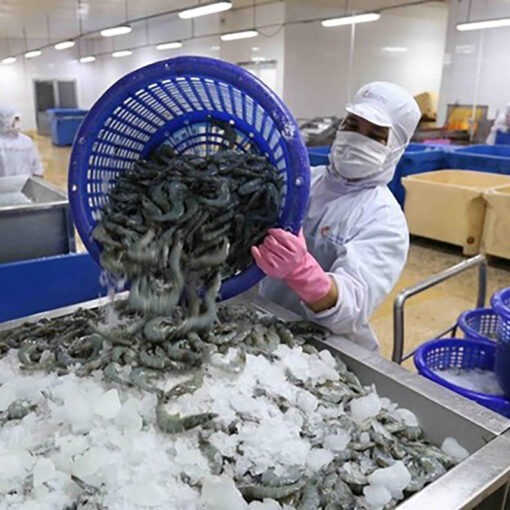 Vietnamese shrimp