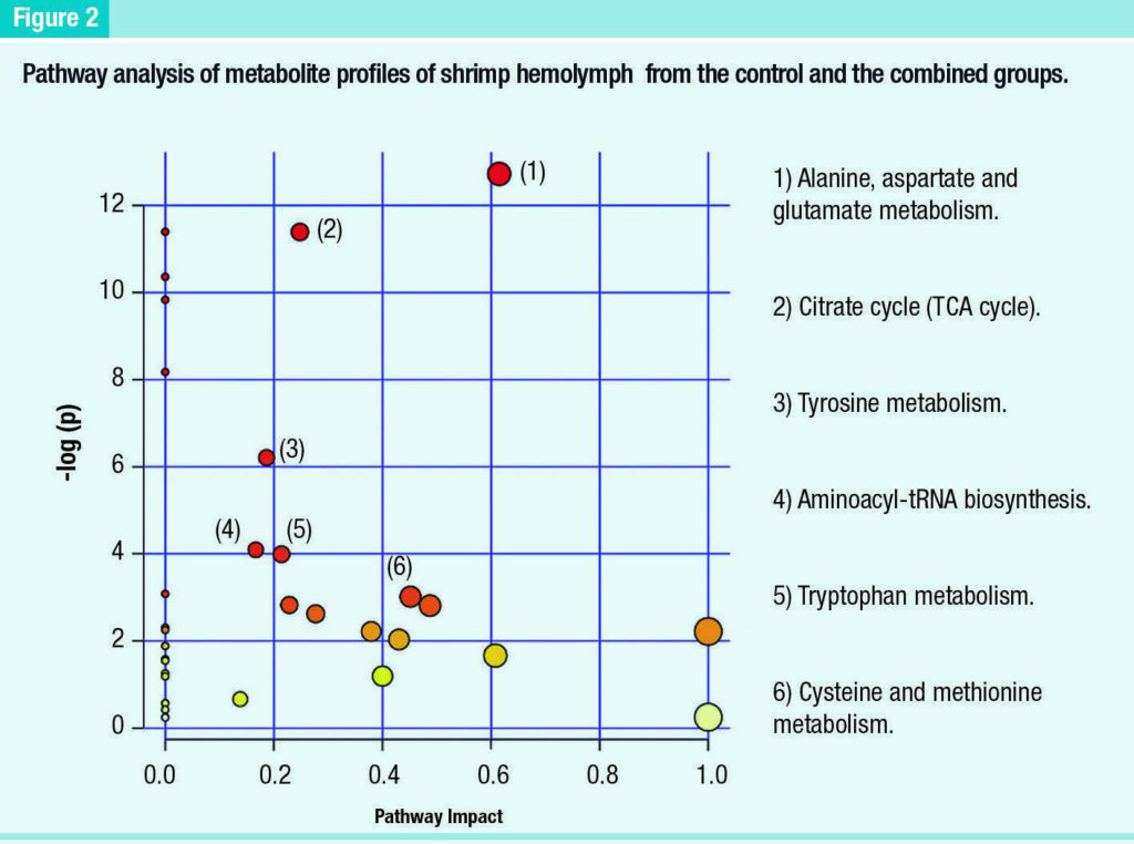 Evaluation of immune stimulatory products