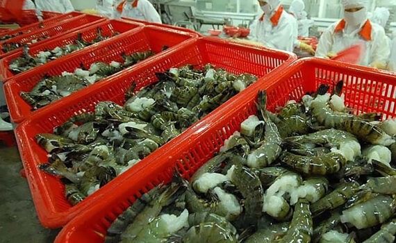 Vietnamese shrimp exports