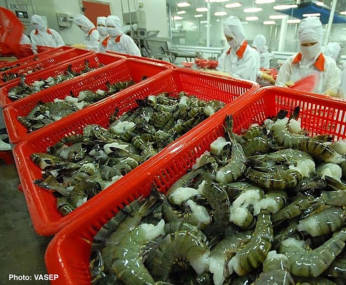 Vietnamese shrimp exports