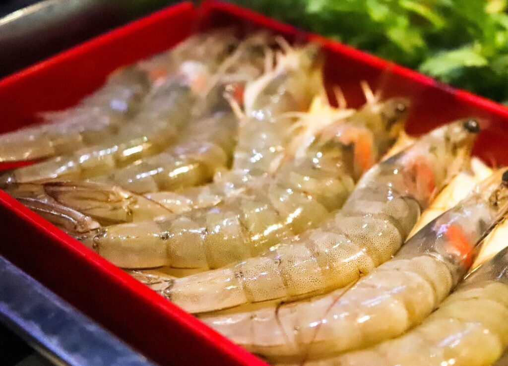 shrimp Litopenaeus vannamei