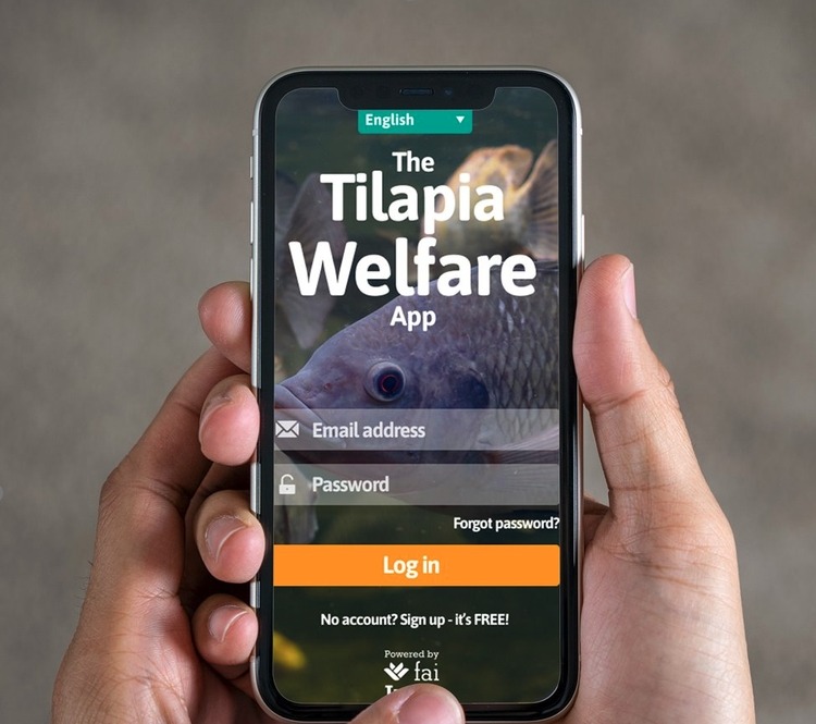 First Tilapia Welfare App