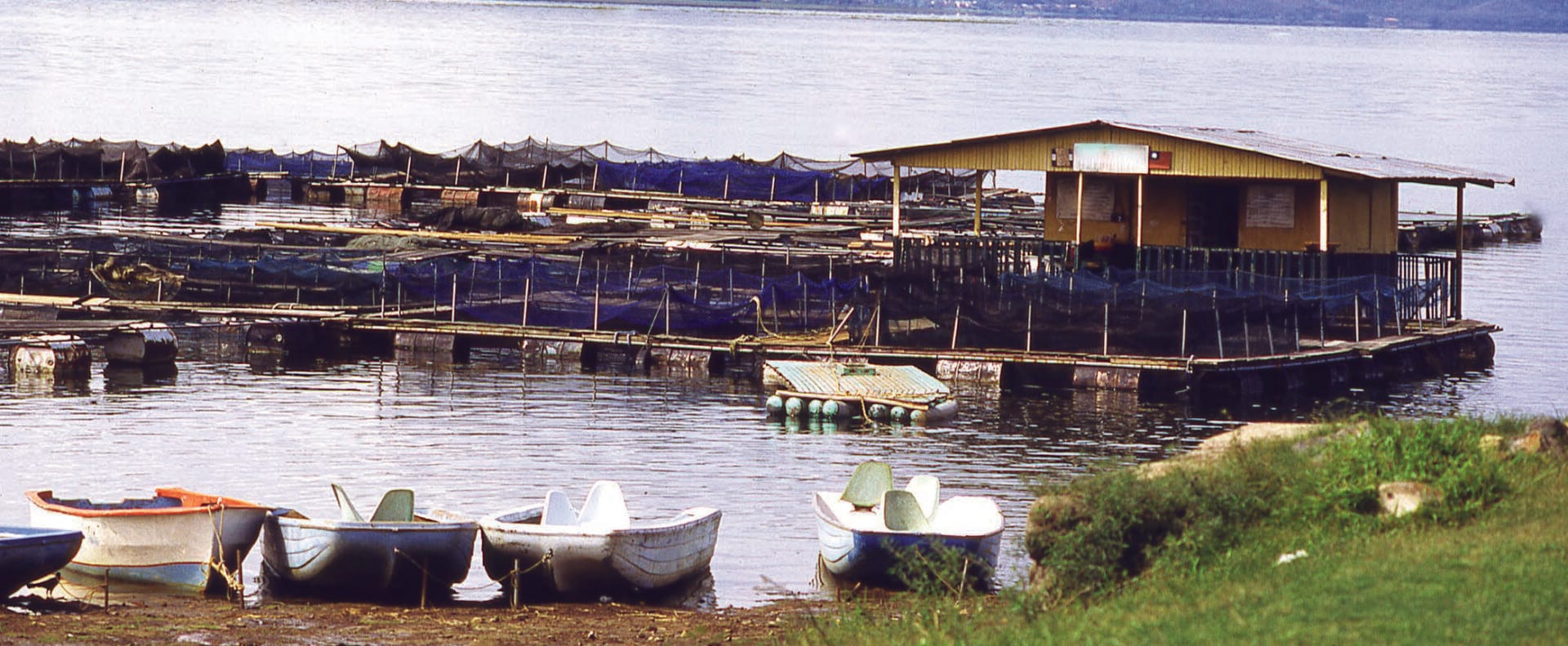 Aquaculture
