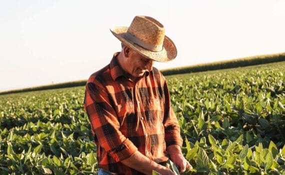 aquafeed sustainability