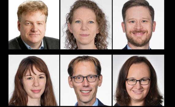 Mycotoxin survey in animal farming