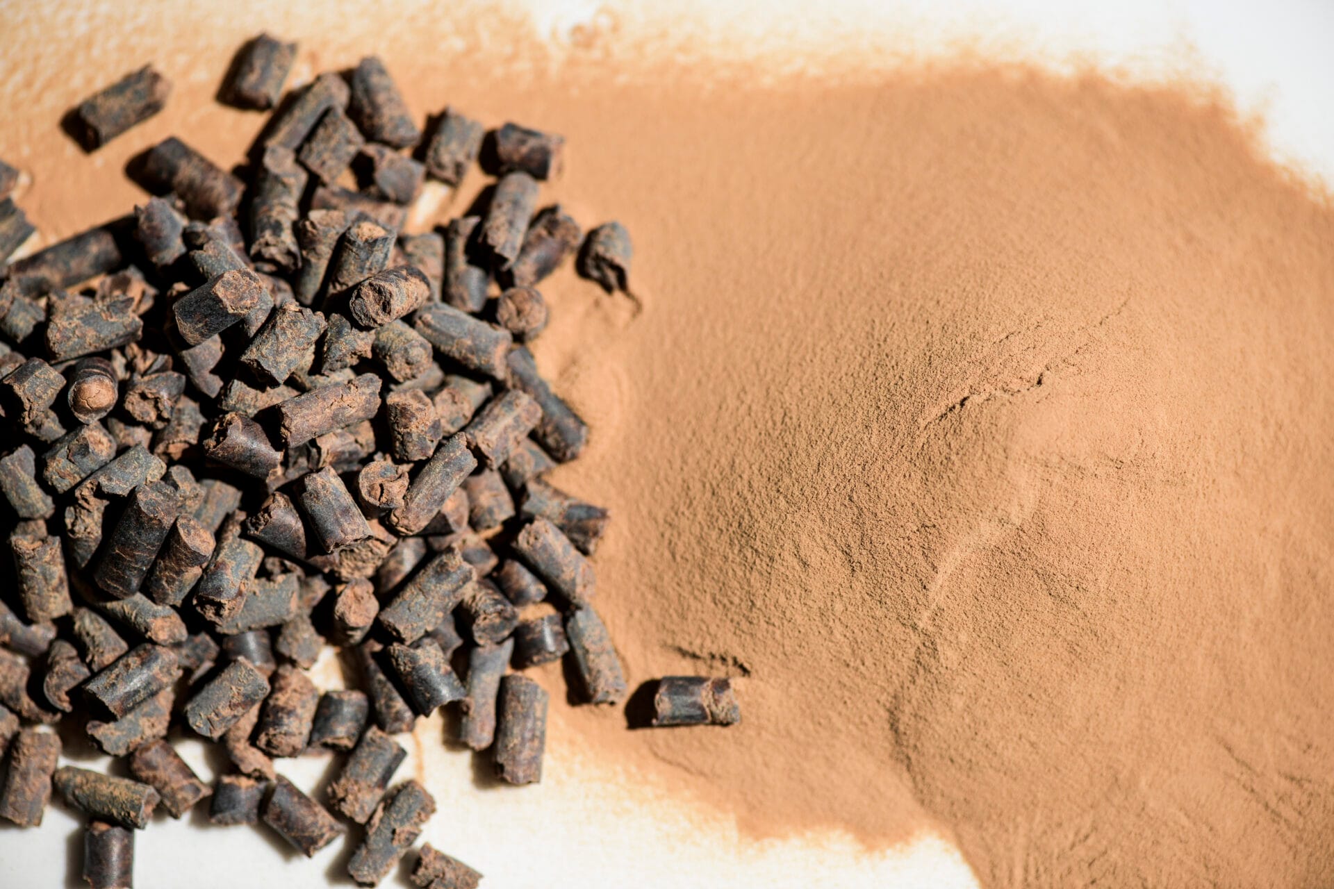 sustainable protein