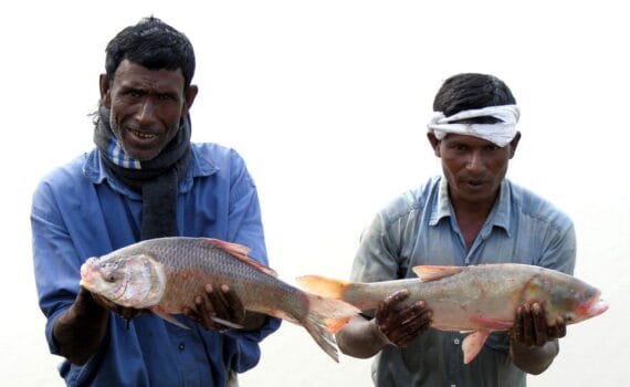 Quantifying greenhouse gas emissions