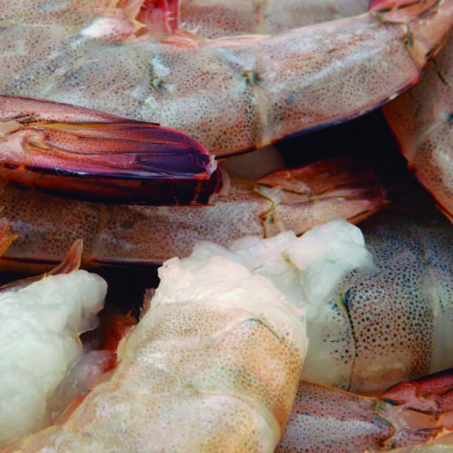 Effects of 4-hexilresorcinol and sodium metabisulfite on melanosis in fresh shrimps (Penaeus vannamei)