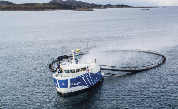 SalMar takes further steps towards the sale of its subsidiary Frøy to Goldman Sachs