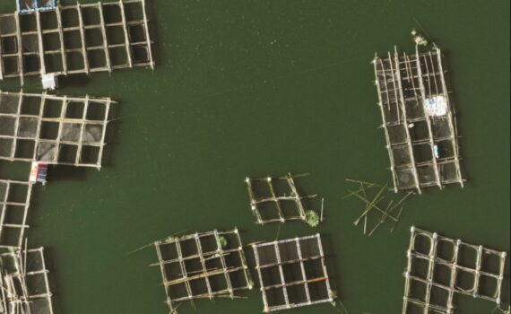 environmental change