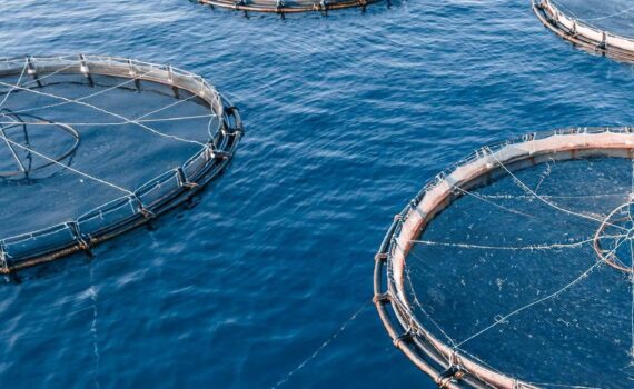 aquaculture industry in the United States