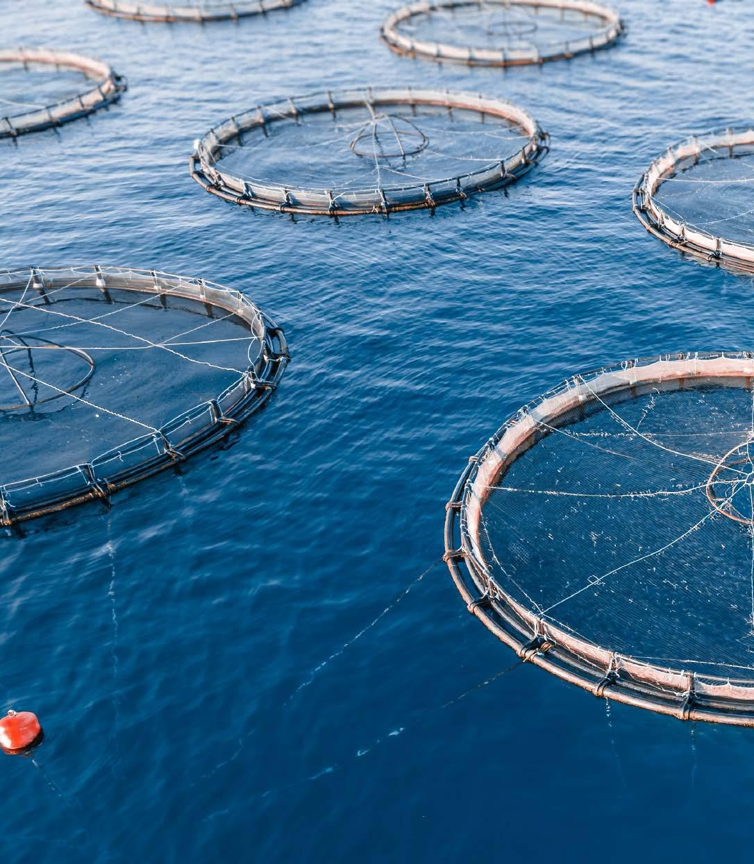 aquaculture industry in the United States