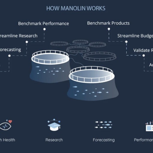 The Norwegian company Manolin starts a launches AI-driven platforms Watershed and Harpoon