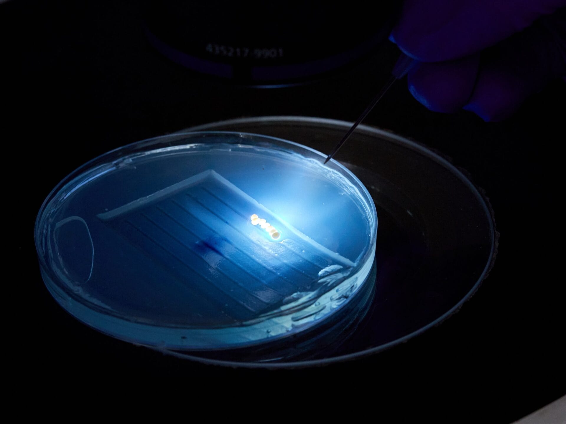 The Center for Aquaculture Technologies and C4U brings CRISPR-CAS3 to aquaculture