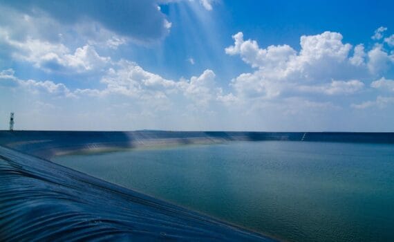 Role of pond lining in dynamics of sulphur recycling bacteria in pacific white shrimp (Penaeus vannamei) grow out culture ponds