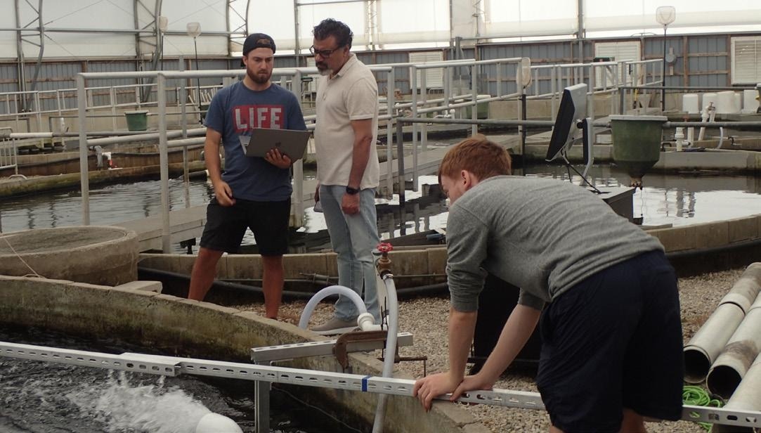 Engineered-Airlift pumps can help aquaculture systems to perform better