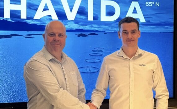Norwegian Havida and GroAqua, with operations in four countries, join forces to strengthen international position