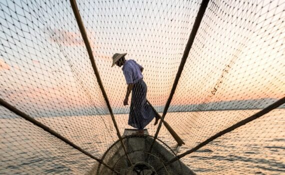 DSM-Firmenich extends Sustell benefits to cover sea bass and sea bream producers