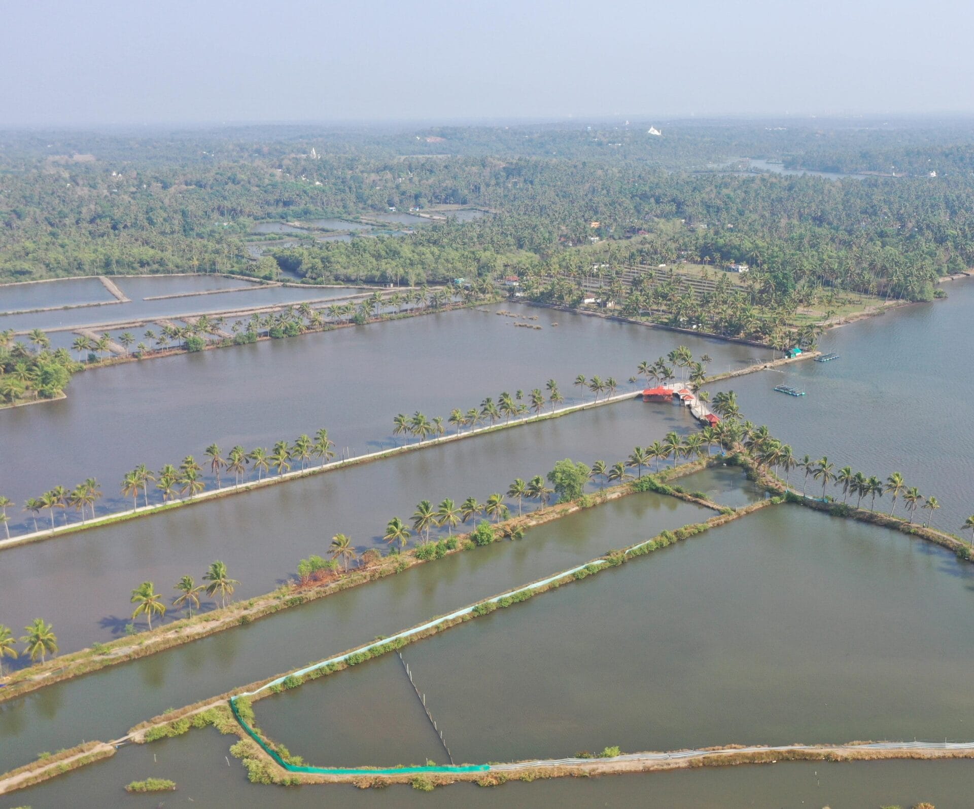 Use of Probiotics in Indian Aquaculture