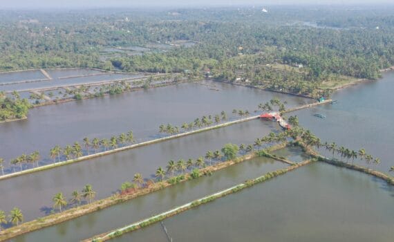 Use of Probiotics in Indian Aquaculture