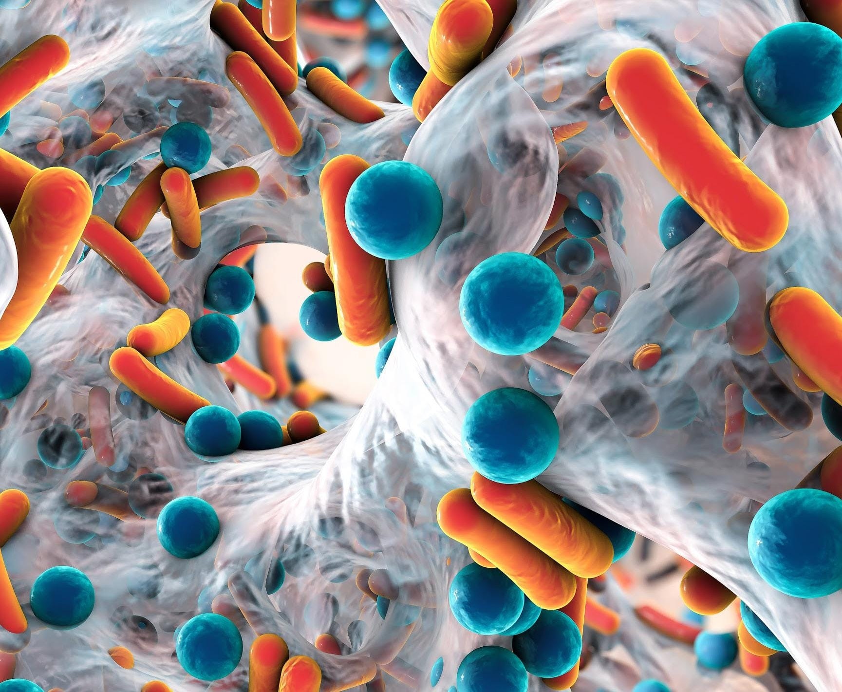 Use of Probiotics in Indian Aquaculture: Evaluating the Potential of ...