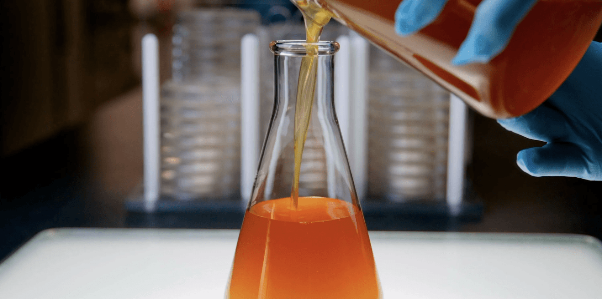 Veramaris achieves a record-breaking year with a 50% increase in production volumes
