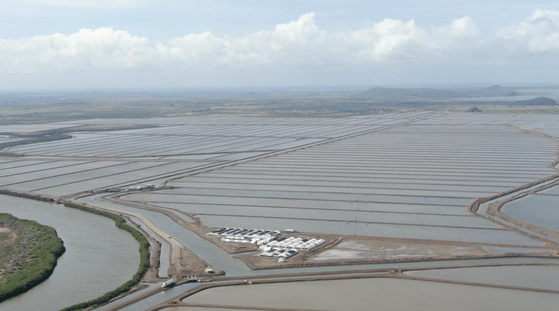 The Influence of Empyreal ® 75 on Industry Diets