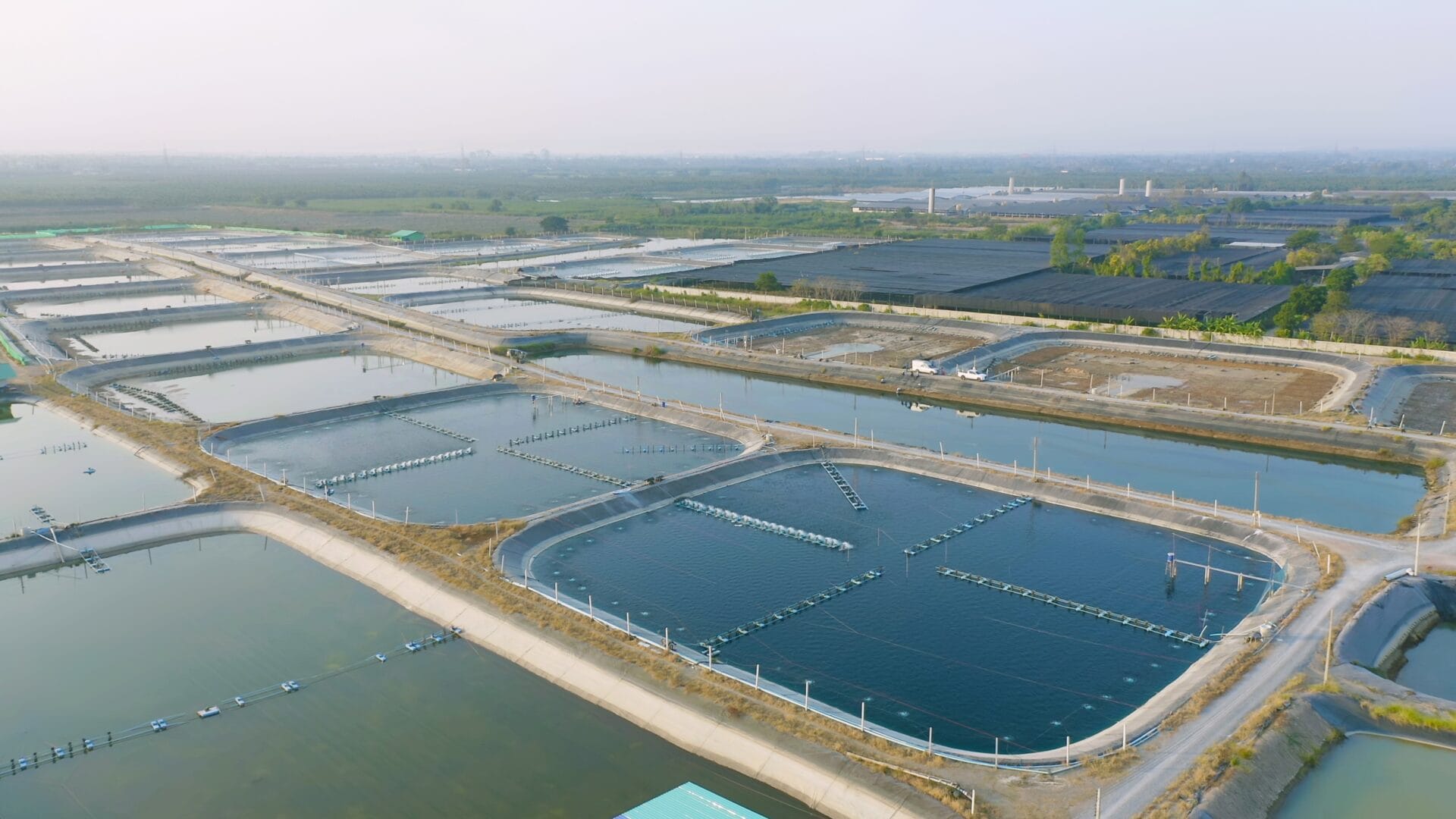 Comprehensive Analysis of Cargill Aqua Nutrition's 2023 Sustainability Achievements