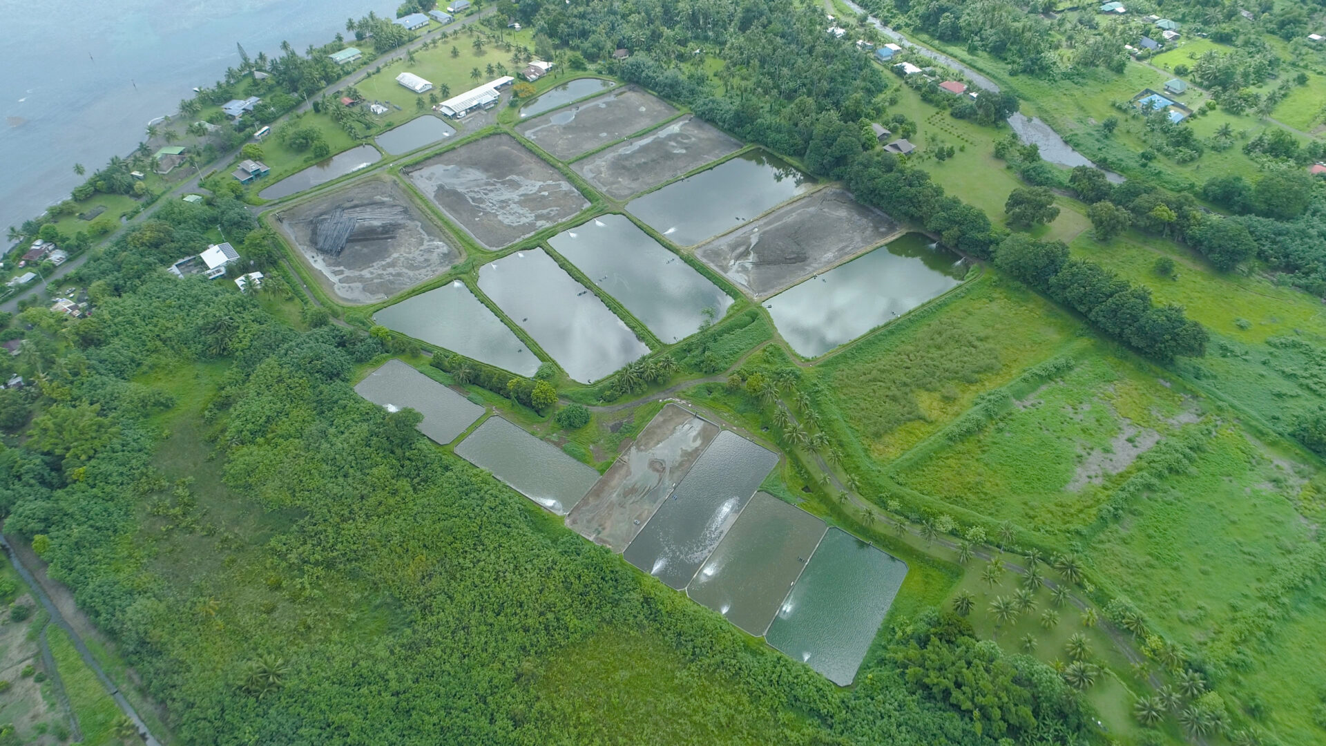 Navigating the Probiotic Path: Challenges and Considerations for Modern Farmers