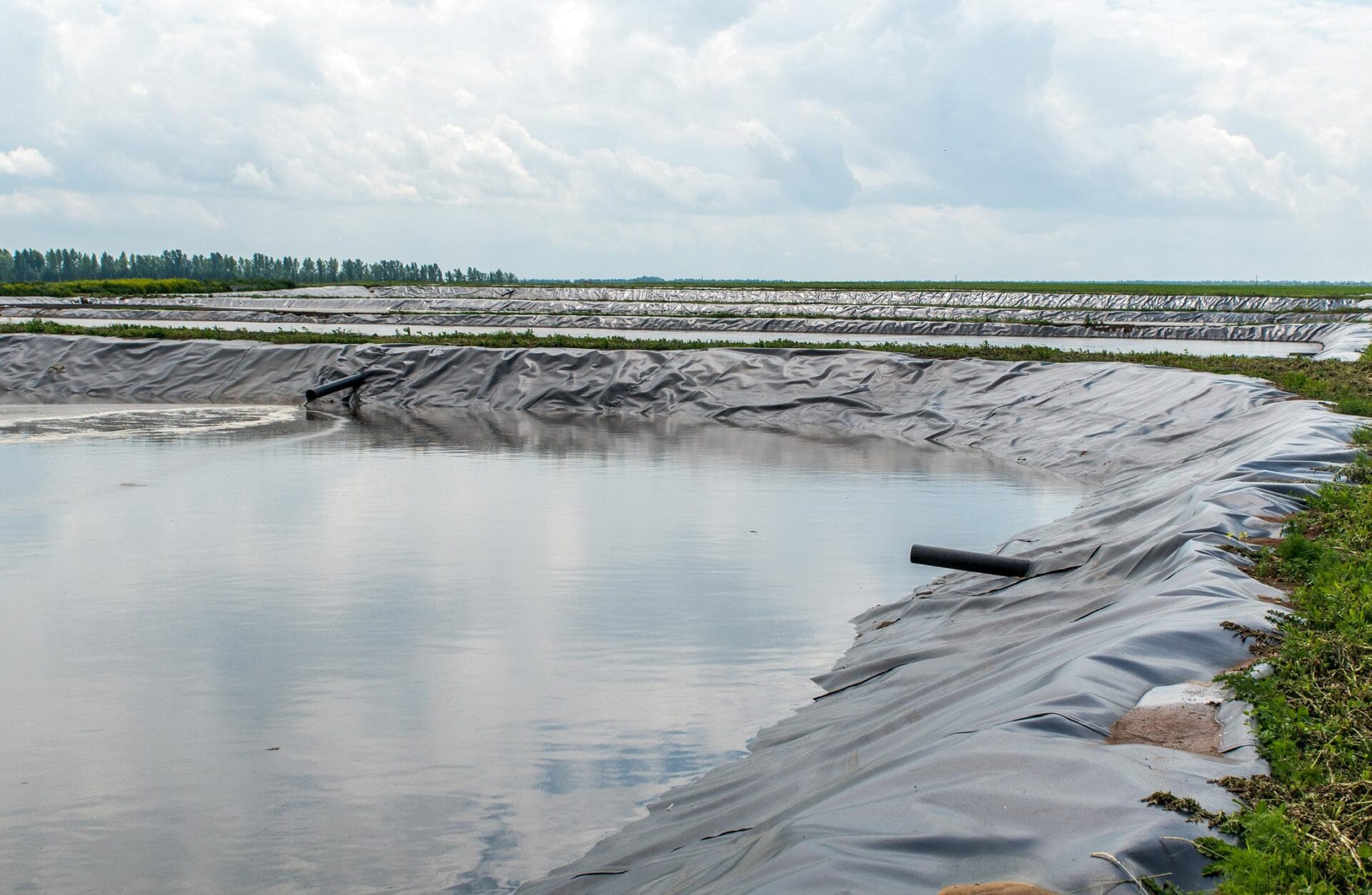 Revolutionizing Aquaculture: The Superior Solutions of Reef Industries’ Hatchery Liners, Tank Liners, and Greenhouse Covers