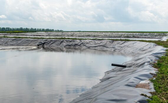 Revolutionizing Aquaculture: The Superior Solutions of Reef Industries’ Hatchery Liners, Tank Liners, and Greenhouse Covers
