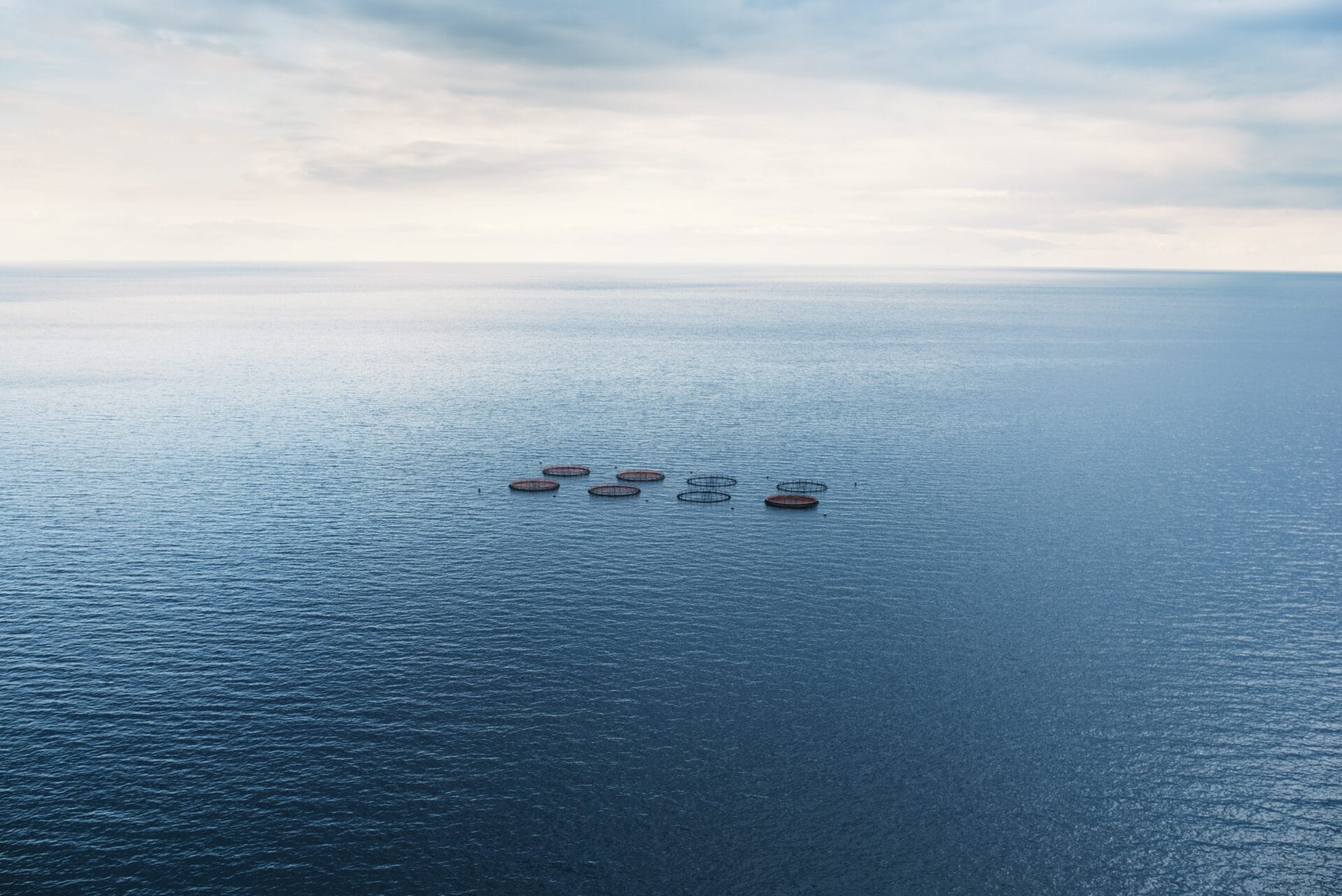 American Voters Support Research to Expand U.S. Open Ocean Aquaculture Sustainably and Responsibly, New Poll Finds