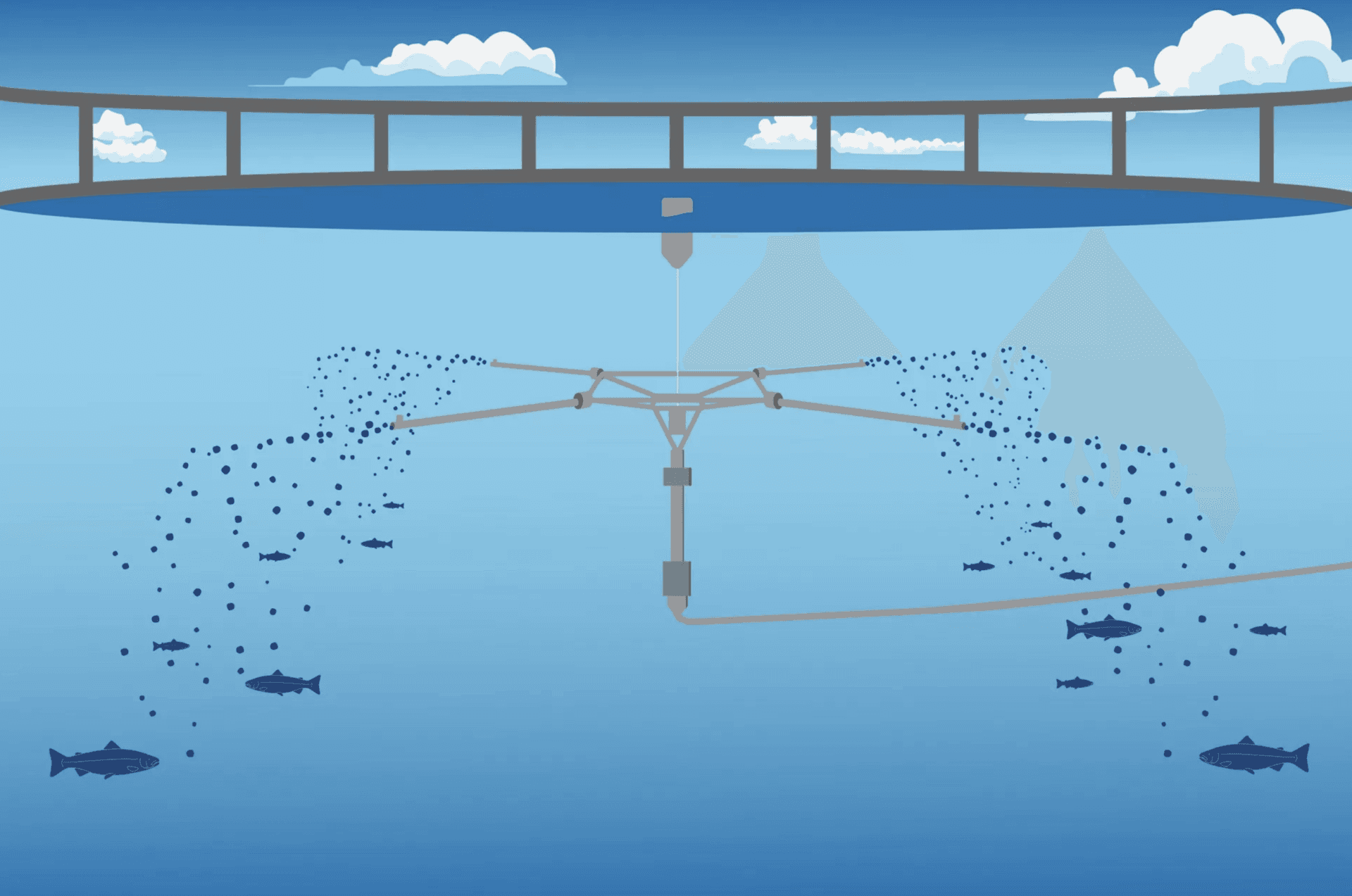 BioMar Seeks to Develop the Ideal Feed for in Waterborne Feeding for ...