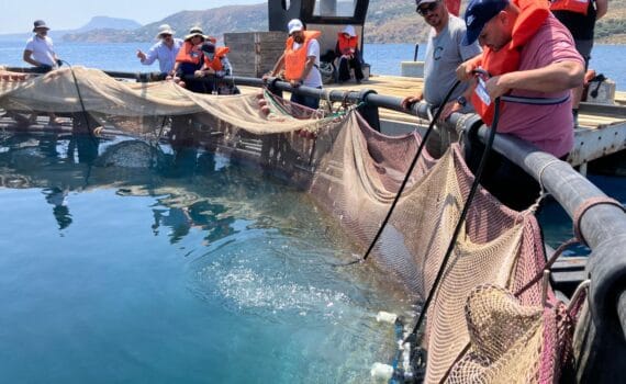 Participants received hands-on training in daily fish farm operations, including feeding, biomass monitoring, harvesting and net cleaning ©FAO-GFCM/ Georgios Paximadis