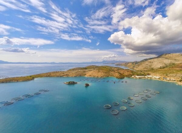 Canadian Cooke Aquaculture Enters Into Preliminary Agreement to Acquire the Debt of Avramar Greece