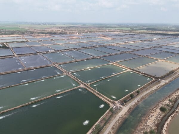 From Water to Carbon: The New Sustainability Equation Reshaping Aquaculture