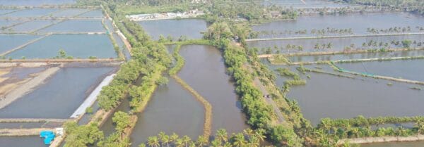 India:  A Sleeping Giant?