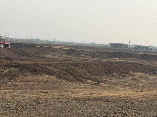 Ongoing expansion of Penaeus monodon farms.