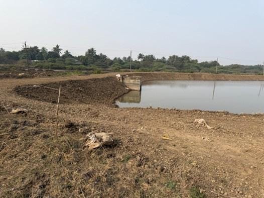 Typical small dirt ponds in early stages of preparing for stocking.