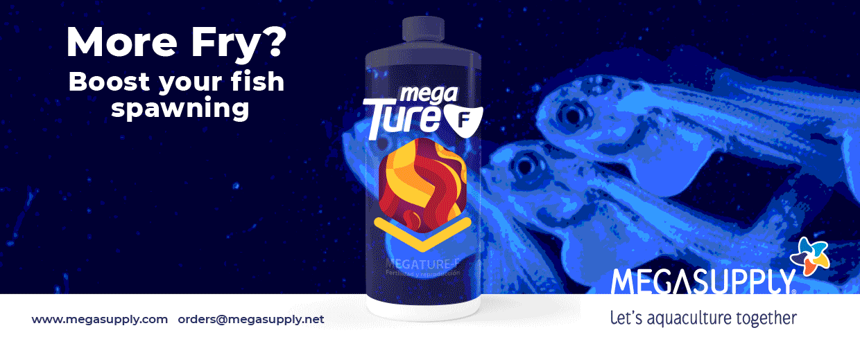 MEGASUPPLY_ARTICULOS_INF