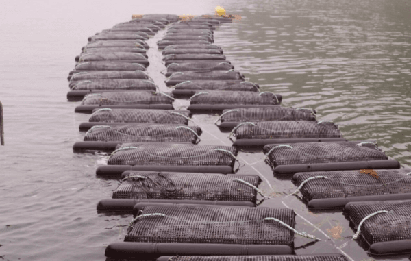 New NSF Initiative Aims to Make Every American Worker, Business and Community AI-Ready, Including Farmers