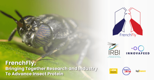 Irbi and Innovafeed Join Forces to Create Frenchfly to Unlock the Final Scientific and Technological Barriers to Sustainable Insect Protein Production in France
