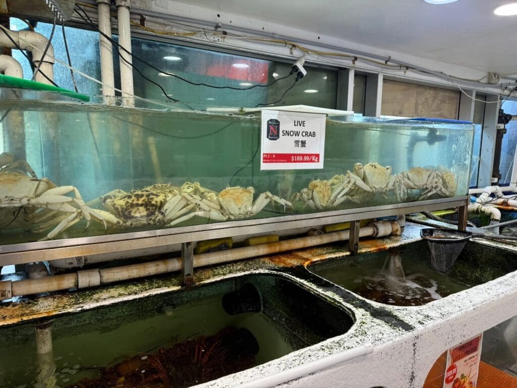 Live crabs at market stall.