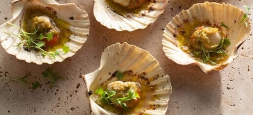 Scallops in shell.
